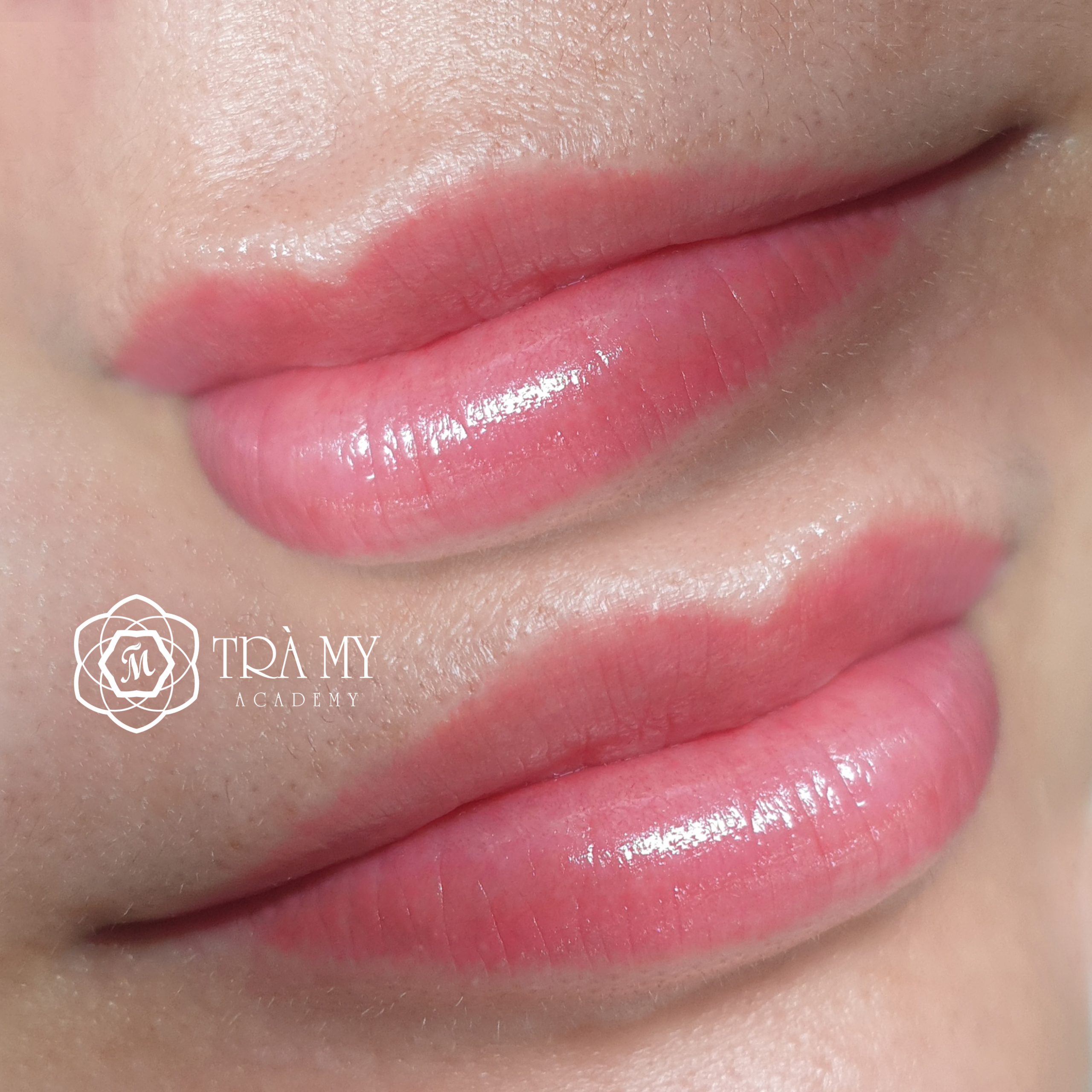 Phun môi Perfect Lips